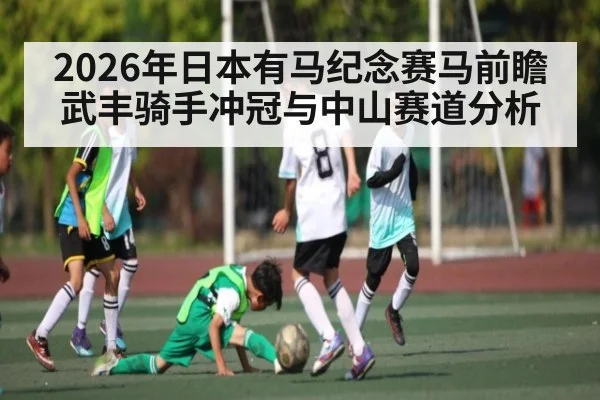 2026年日本有马纪念赛马前瞻 武丰骑手冲冠与中山赛道分析